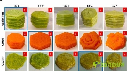 新研發的3D打印食品可保留和冷凍蔬菜的營養和風味